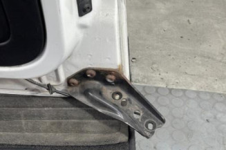 Porte laterale gauche FIAT QUBO