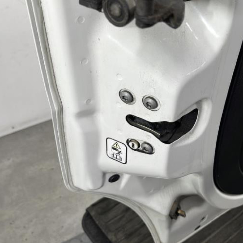 Porte laterale gauche FIAT QUBO Photo n°6