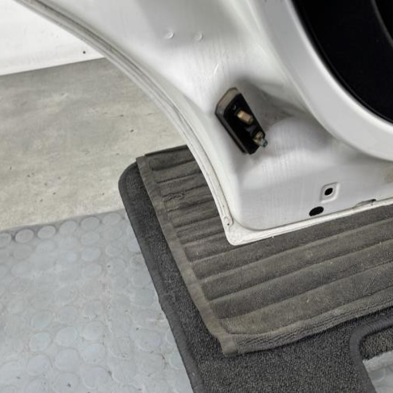 Porte laterale gauche FIAT QUBO Photo n°7
