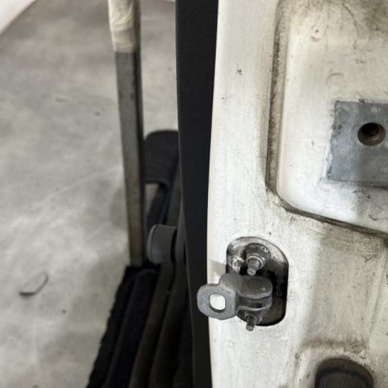 Porte arriere gauche FIAT PANDA 2 Photo n°4