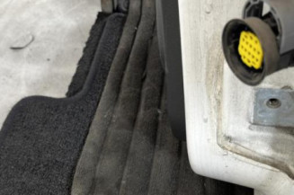 Porte arriere gauche FIAT PANDA 2