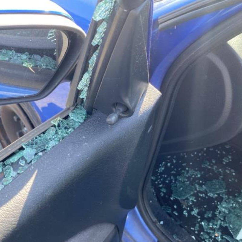Porte arriere droit CITROEN SAXO Photo n°17