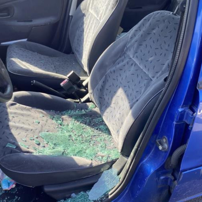 Porte arriere droit CITROEN SAXO Photo n°18