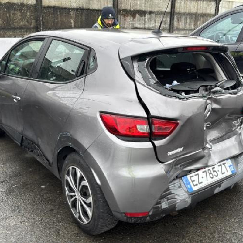 Porte arriere droit RENAULT CLIO 4 Photo n°9