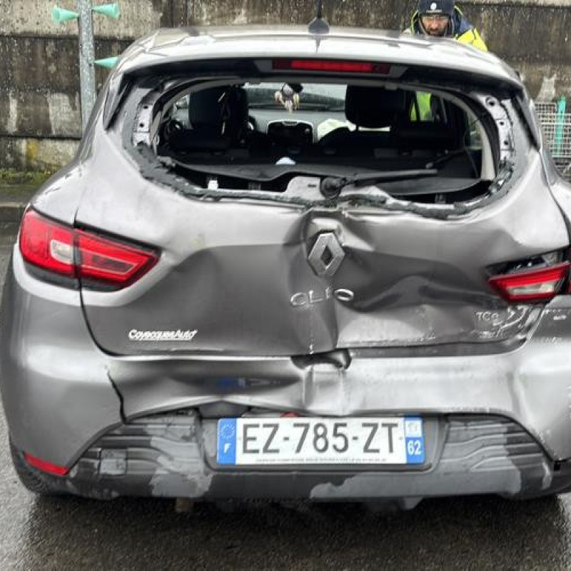 Porte arriere droit RENAULT CLIO 4 Photo n°10