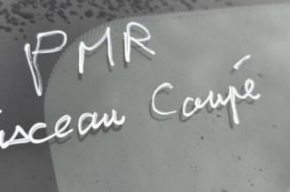 Porte arriere droit RENAULT CLIO 4