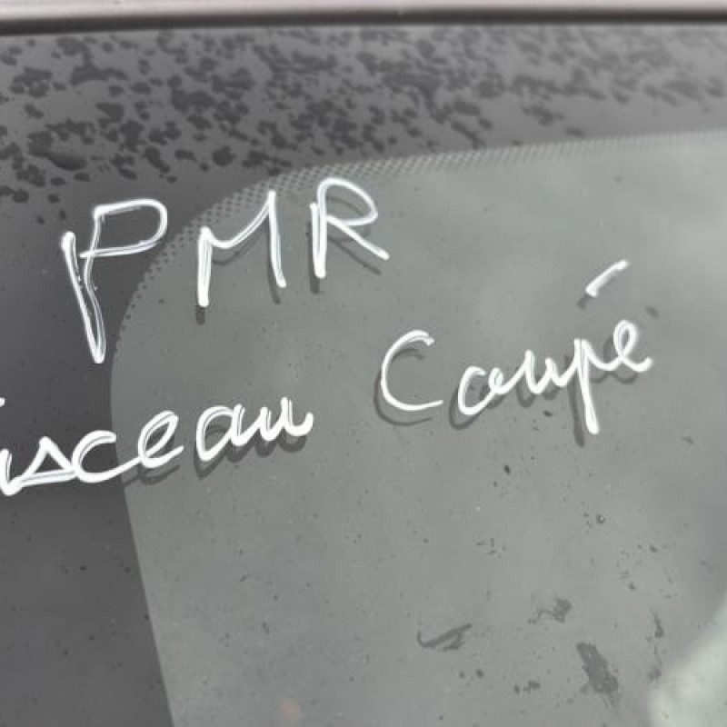 Porte arriere droit RENAULT CLIO 4 Photo n°13