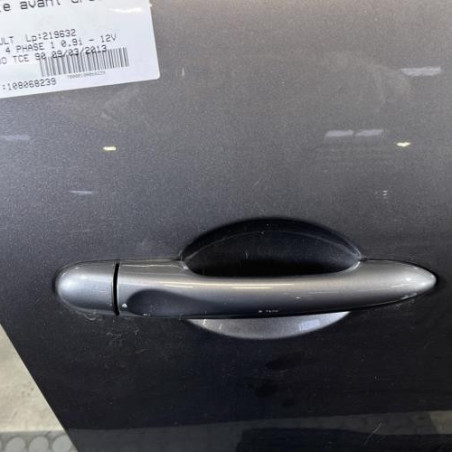 Porte avant droit RENAULT CLIO 4
