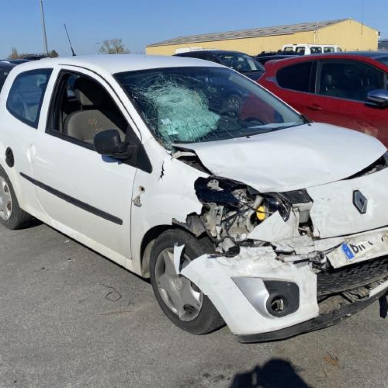 Porte avant droit RENAULT TWINGO 2 Photo n°8