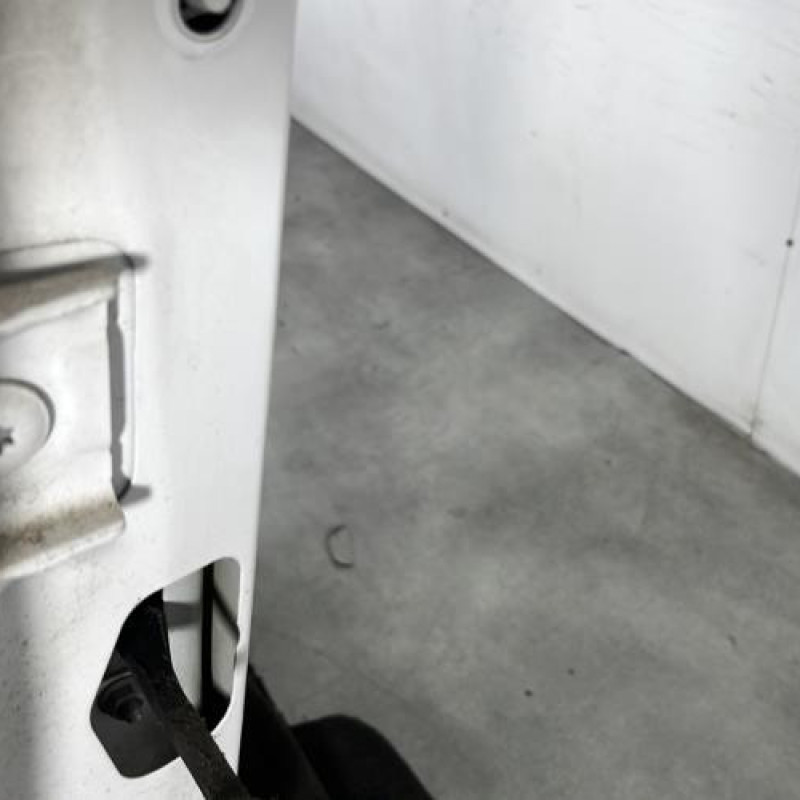 Porte avant droit PEUGEOT PARTNER 2 Photo n°4