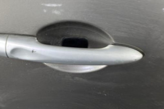 Porte avant droit RENAULT SCENIC 3