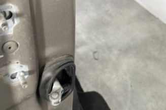 Porte avant droit RENAULT SCENIC 3