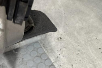 Porte avant droit RENAULT SCENIC 3