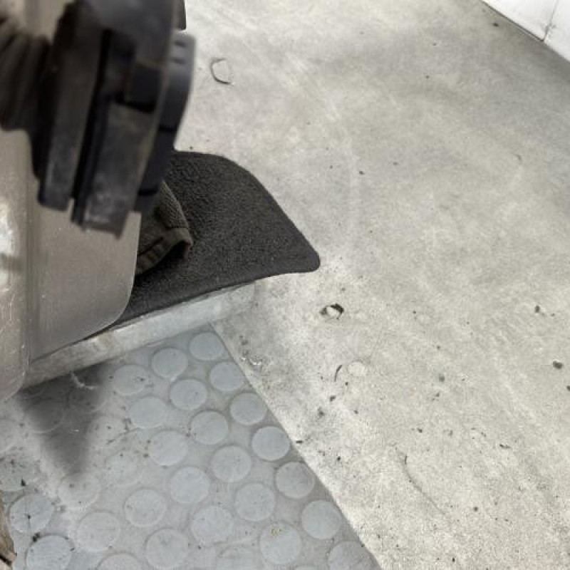 Porte avant droit RENAULT SCENIC 3 Photo n°5