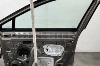 Porte avant droit RENAULT SCENIC 3