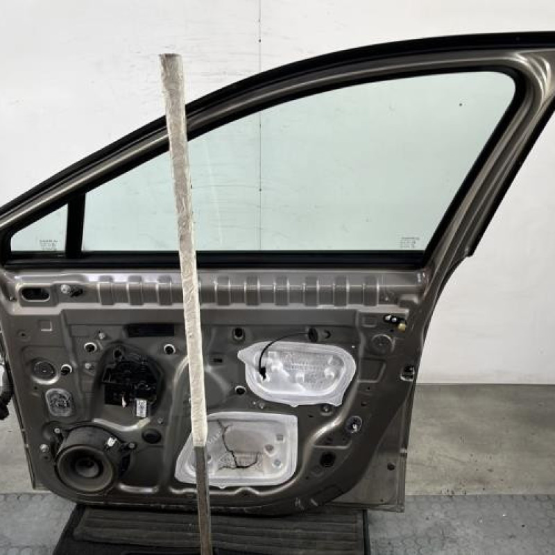 Porte avant droit RENAULT SCENIC 3 Photo n°6