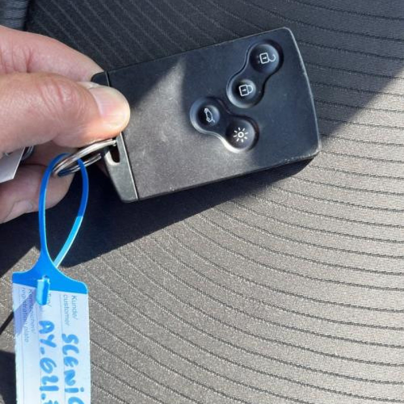 Porte avant droit RENAULT SCENIC 3 Photo n°7