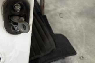 Porte avant droit FIAT PANDA 2