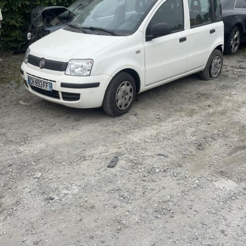 Porte avant droit FIAT PANDA 2 Photo n°8