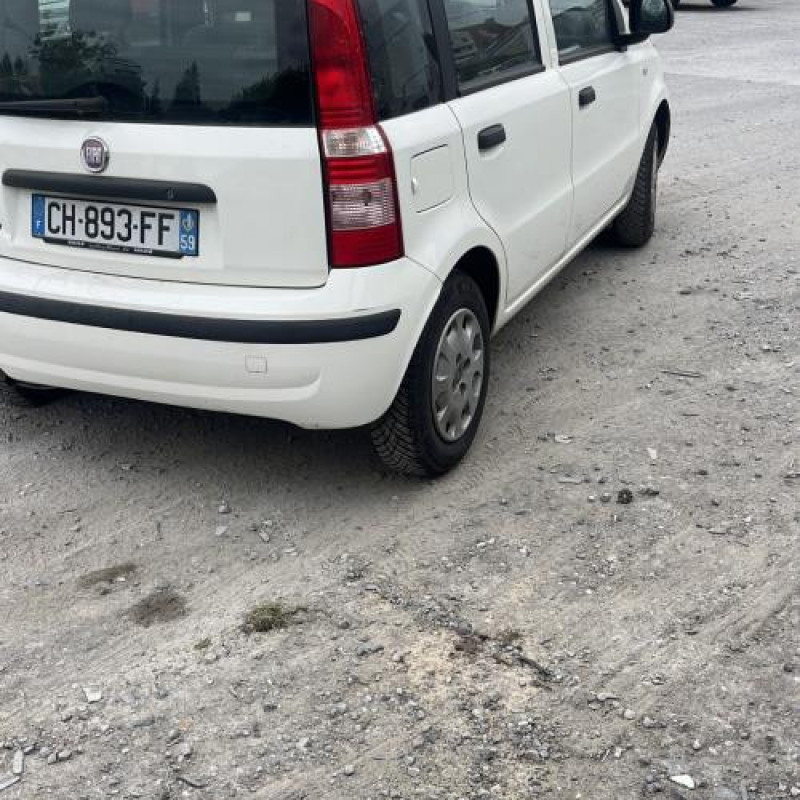 Porte avant droit FIAT PANDA 2 Photo n°10