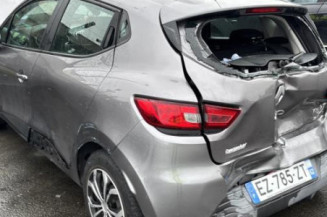 Porte avant gauche RENAULT CLIO 4