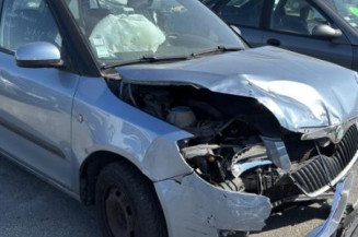 Vitre arriere droit SKODA FABIA 2