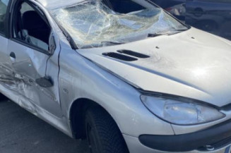 Feu arriere principal droit (feux) PEUGEOT 206