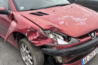 Neiman PEUGEOT 206