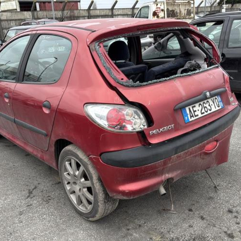 Neiman PEUGEOT 206 Photo n°9