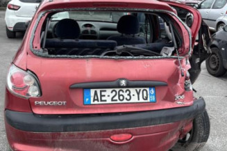 Neiman PEUGEOT 206