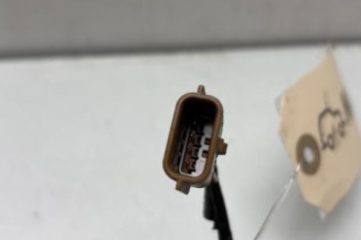 Poignee porte avant droit RENAULT SCENIC 2