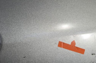 Porte arriere droit TOYOTA YARIS 2