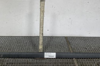 Baguette de porte avant gauche RENAULT CLIO 3 Photo n°1