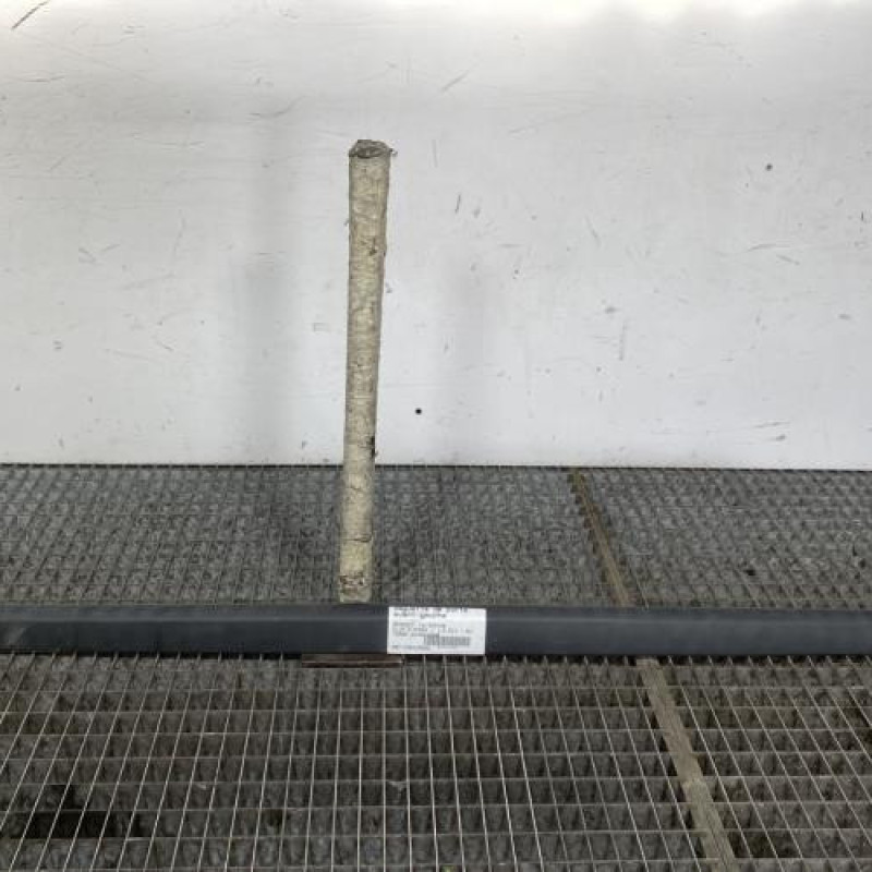 Baguette de porte avant gauche RENAULT CLIO 3 Photo n°1