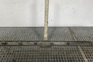 Baguette de porte avant gauche RENAULT CLIO 3