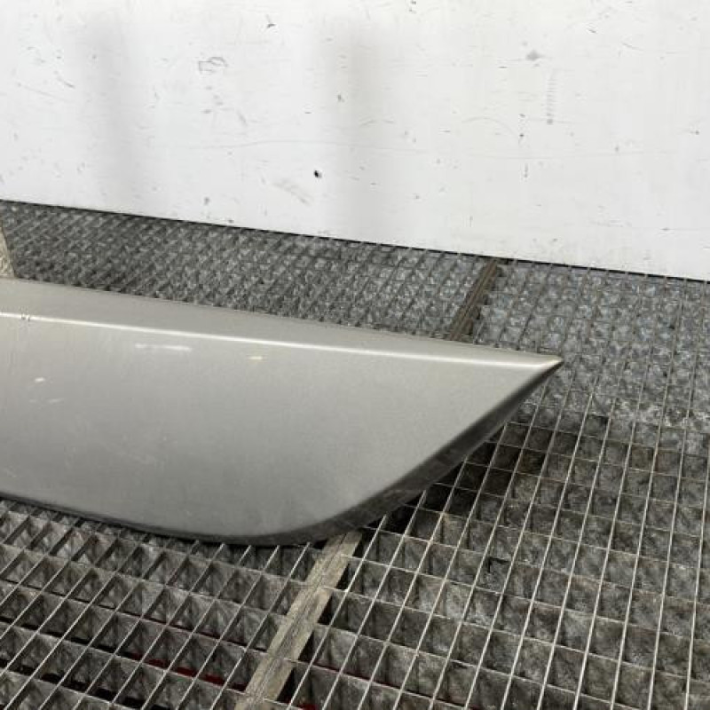 Baguette de porte arriere gauche  RENAULT SCENIC 3 Photo n°2
