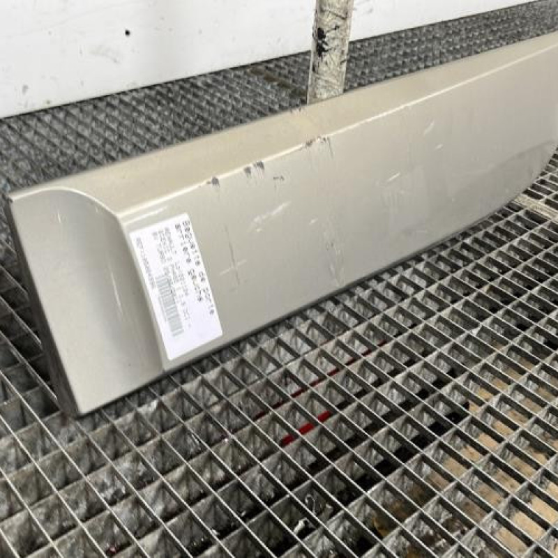 Baguette de porte arriere gauche  RENAULT SCENIC 3 Photo n°3