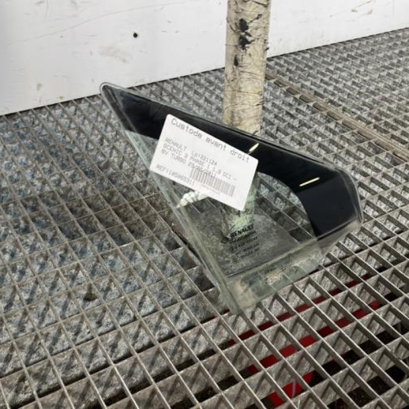 Custode avant droit (porte) RENAULT SCENIC 3 Photo n°3