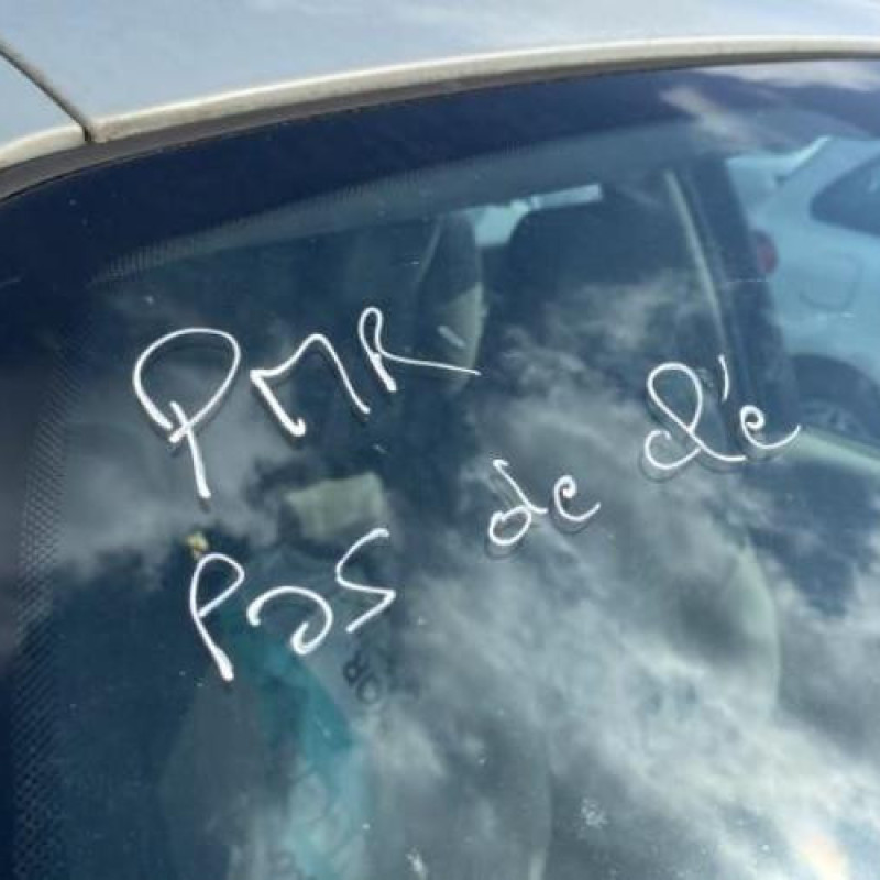 Feu arriere principal gauche (feux) RENAULT SCENIC 2 Photo n°10