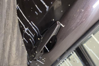 Porte arriere gauche BMW SERIE 1 F20