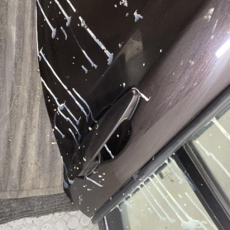 Porte arriere gauche BMW SERIE 1 F20