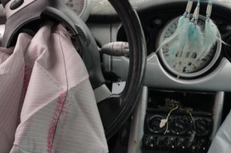 Poignee interieur avant gauche MINI MINI 1 R50/R53