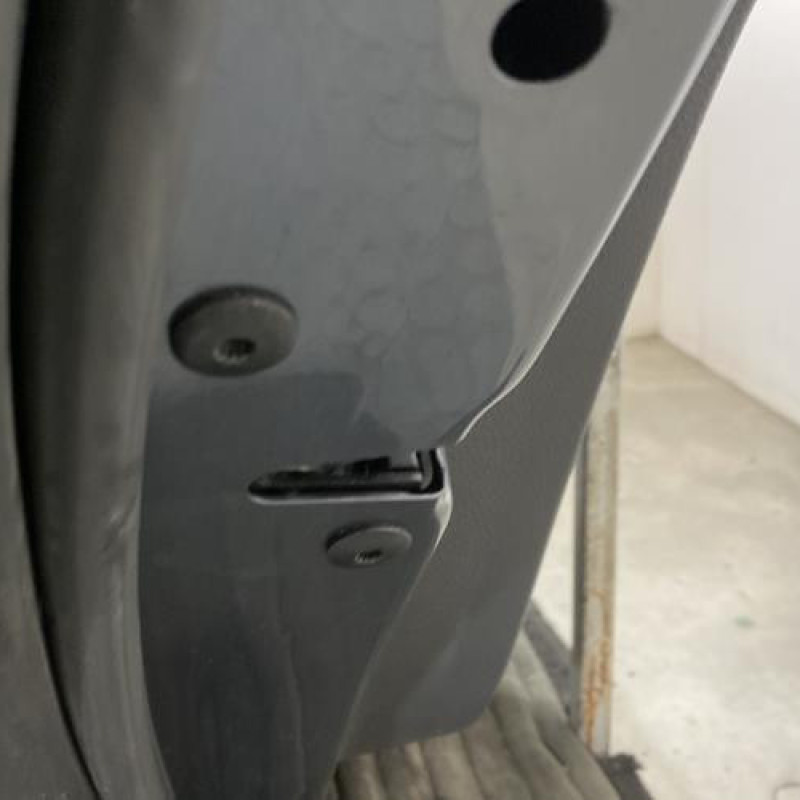 Porte arriere gauche VOLKSWAGEN JETTA 3 Photo n°3