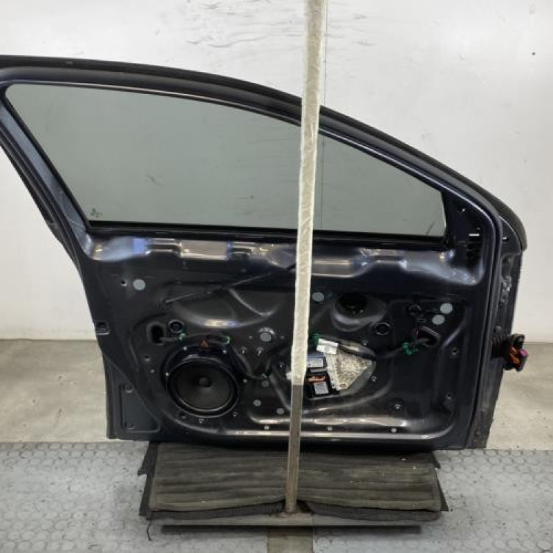 Porte avant gauche VOLKSWAGEN JETTA 3 Photo n°6
