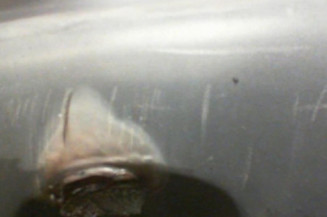 Pare choc arriere OPEL CORSA B