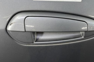 Porte arriere droit FIAT PUNTO EVO 3