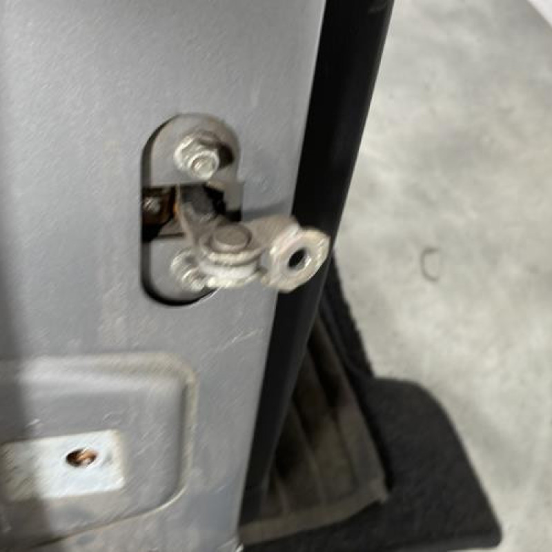 Porte arriere droit FIAT PUNTO EVO 3 Photo n°5