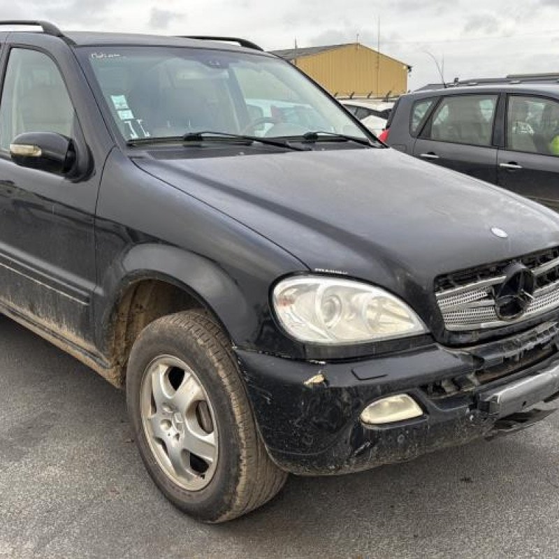 Porte avant gauche MERCEDES CLASSE M 163 Photo n°9