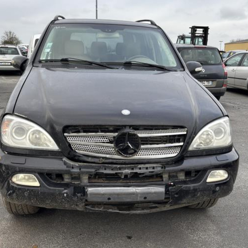 Porte avant gauche MERCEDES CLASSE M 163 Photo n°15