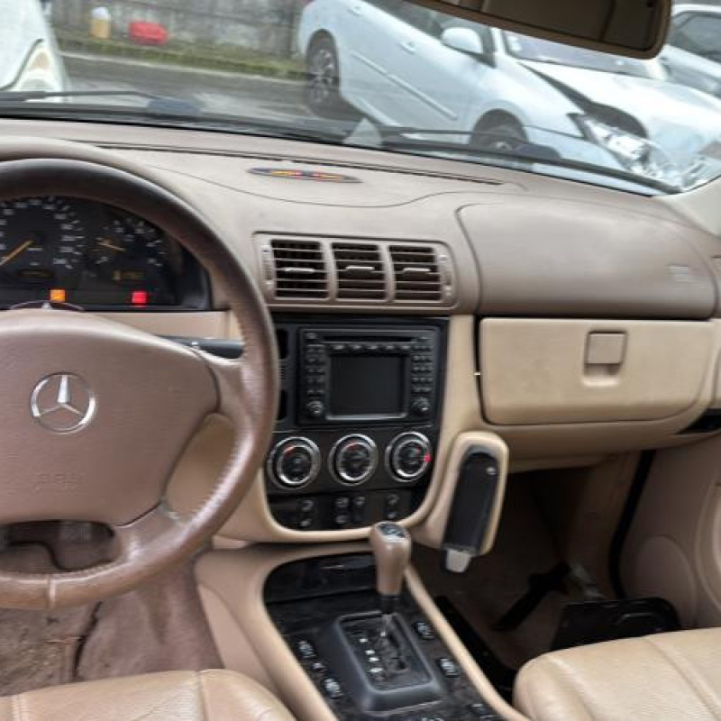 Porte avant gauche MERCEDES CLASSE M 163 Photo n°19